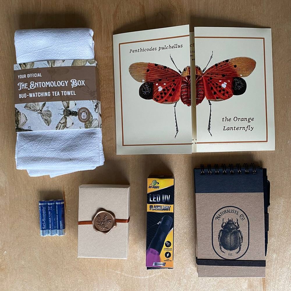 Dec. 2024: The Entomology Box (U.S. Only)