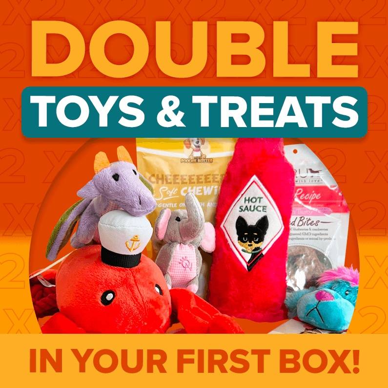 Double Toys & Treats