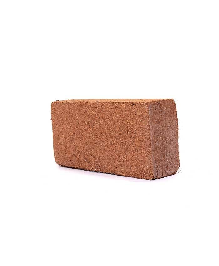 650g Coir Block