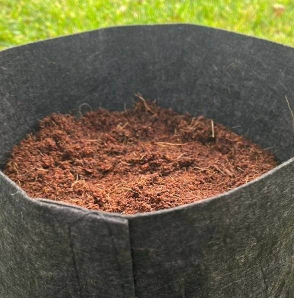 650g Coir Block