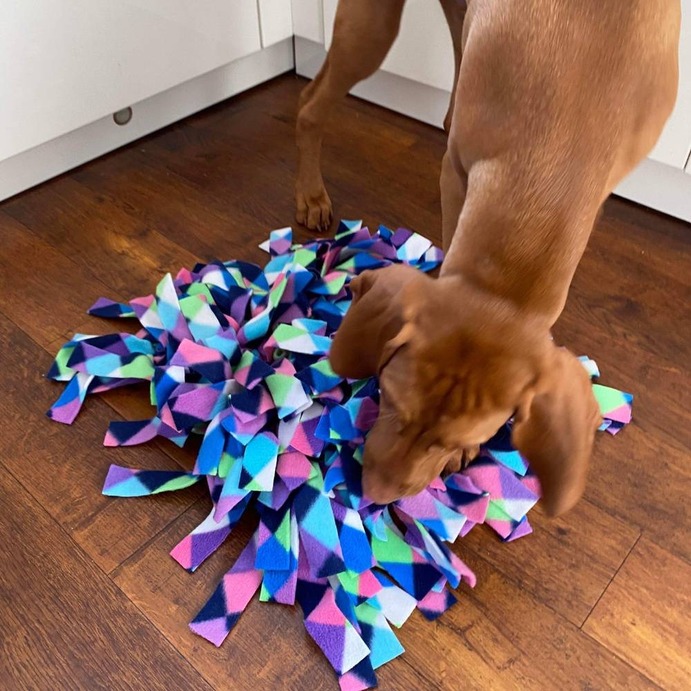 Snuffle Mat + Free Treats