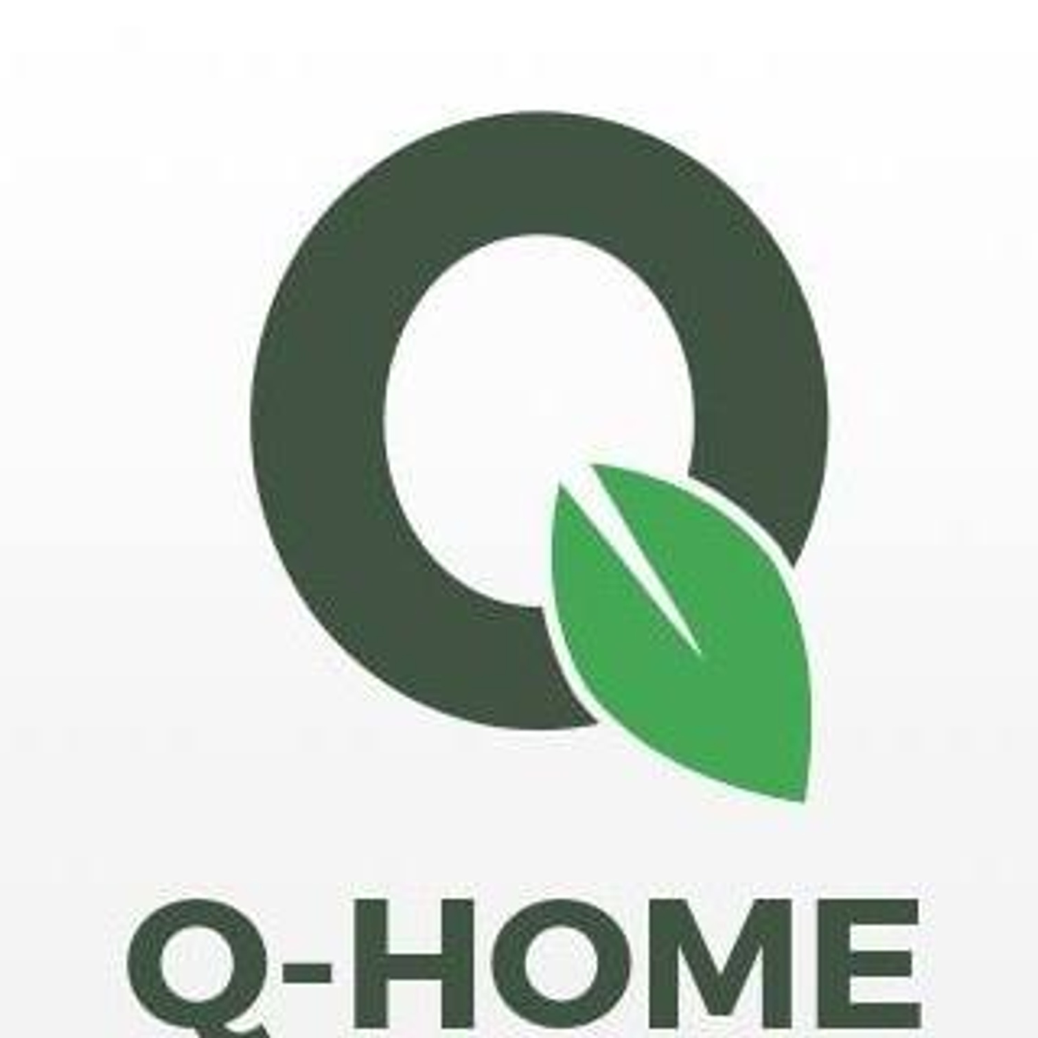 Q-Home logo