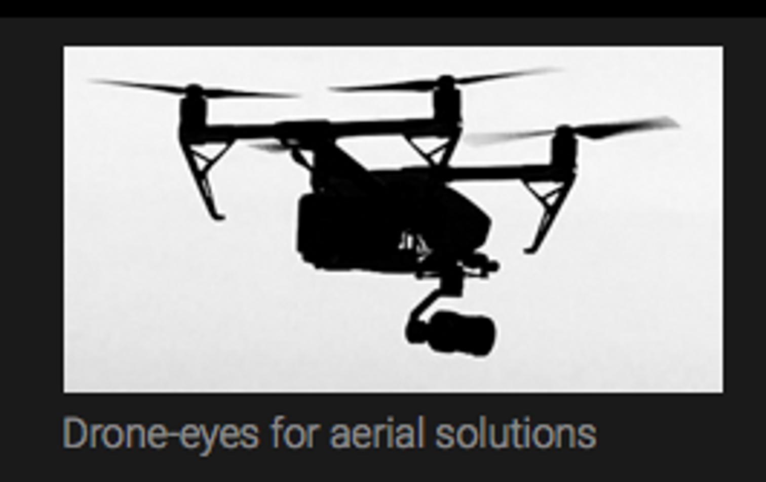 eeGeMa - Aerial solutions - Drone-eyes logo