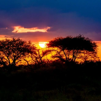 tourhub | Beach and Safari Holidays | Serengeti Inside Out 