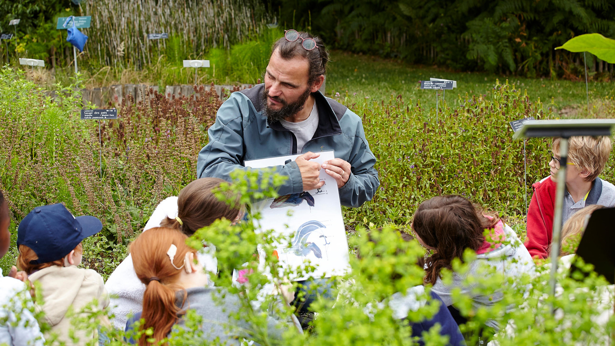 Représentation de la formation : L'éducation à la nature : concevoir et animer une action pédagogique