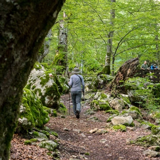 tourhub | Exodus Adventure Travels | Italian Apennines: Walks & Wildlife 