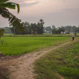 tourhub | G Adventures | Discover Kerala & Sri Lanka: Islands & Ruins 