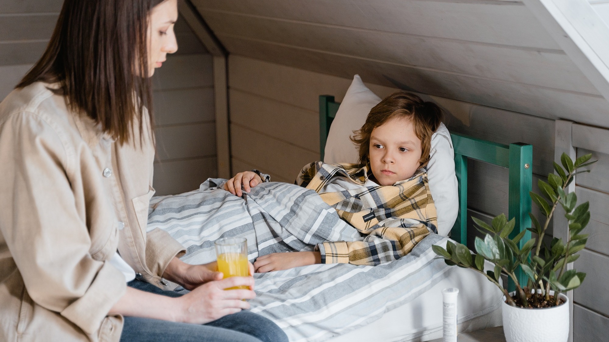 Représentation de la formation : CCP3 Relayer les parents dans la prise en charge de leurs enfants à leur domicile