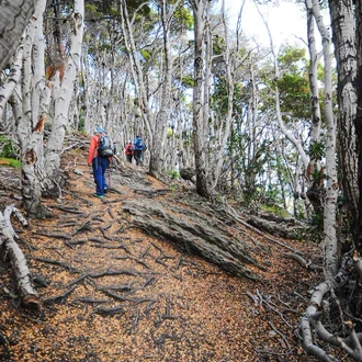 tourhub | Intrepid Travel | Ushuaia Short Break  