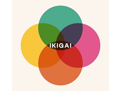 Représentation de la formation : IKIGAI