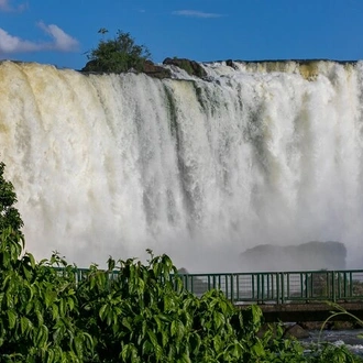 tourhub | Neumann Operadora de Receptivo | Airport IGU Round Trip & Iguassu Falls Brazilian side & Bird Park  