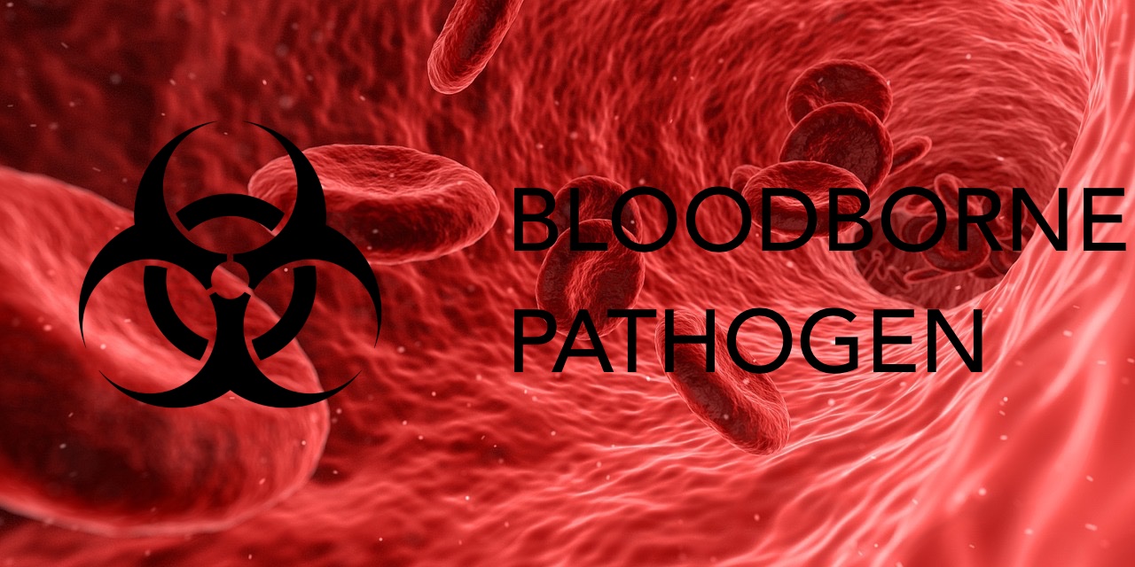 OSHA Bloodborne Pathogens | SOARescue