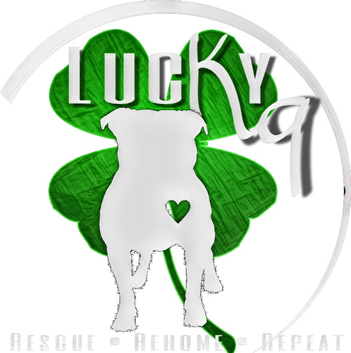 Lucky K9 Rescue logo