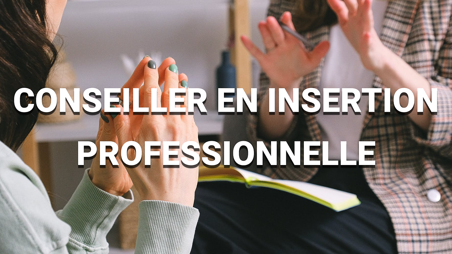 Représentation de la formation : TP CIP - Conseiller en Insertion Professionnelle