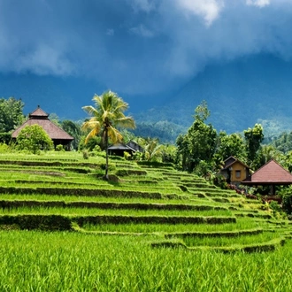 tourhub | Today Voyages | Highlight of Bali 