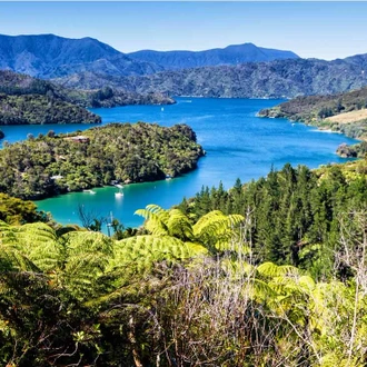 tourhub | Intrepid Travel | Walk New Zealand's Queen Charlotte Track 