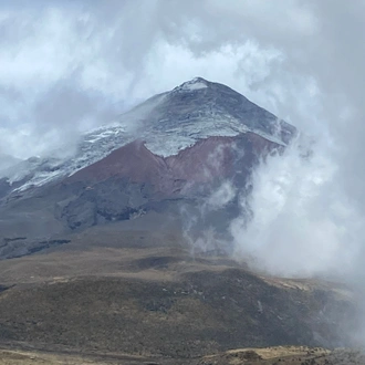 tourhub | Ecuador Galapagos Travels | 12 Days Ecuador’s Greatest Hits: A Bucket-List Adventure 