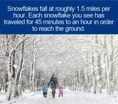 snow fact