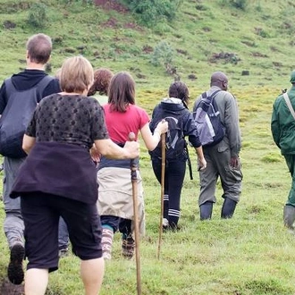 tourhub | On The Go Tours | Gorilla Trek, Kenya & Tanzania (Accommodated) - 28 days 