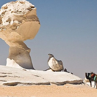 tourhub | Sun Pyramids Tours | 3 Days 2 Nights White Desert and Bahariya Oasis Tour 