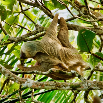 tourhub | Exodus Adventure Travels | Costa Rica's Coastal Secrets 