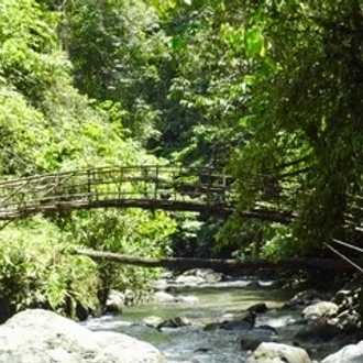 The Kokoda Track with Indigenous Kokoda Adventures