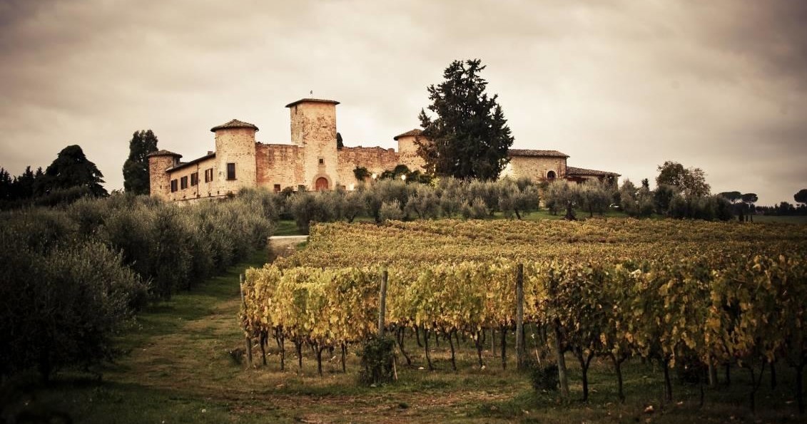 A Great SuperTuscan Wine Tour from Florence to Experience the Utmost Expression of Quality and Winemaking Skills at Three Wineries 