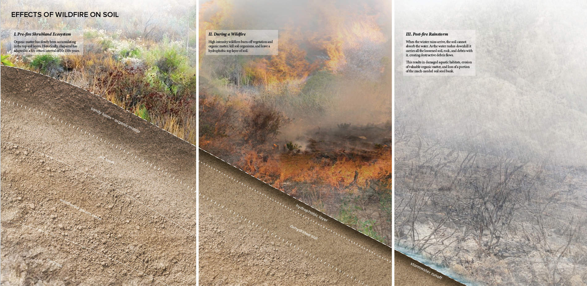 Effects of Wildfire on Soil