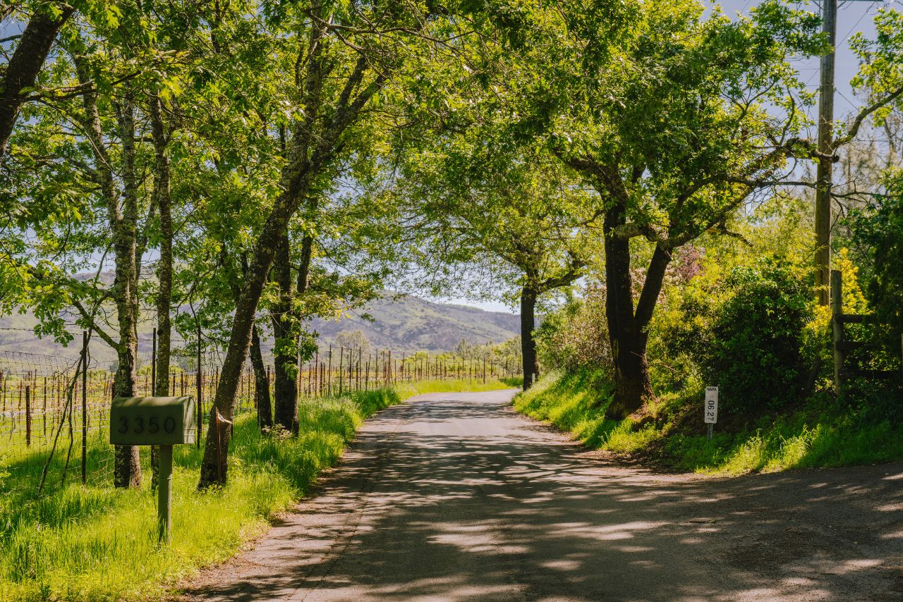 July 2020 Sonoma County Real Estate