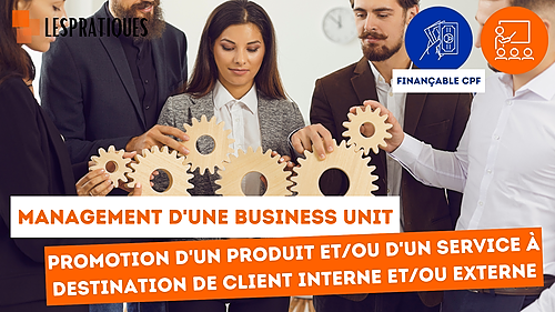 Représentation de la formation : Management d'une business unit (certifiant)