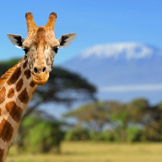 tourhub | ARP Travel Group | Kilimanjaro to Mombasa 