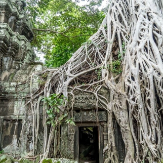 tourhub | Intrepid Travel | Cambodia Adventure 