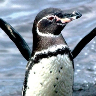 tourhub | Ecuador Galapagos Travels | 7 Days Enchanting Galapagos 