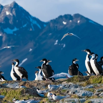 tourhub | Exodus Adventure Travels | Patagonian Highlights 