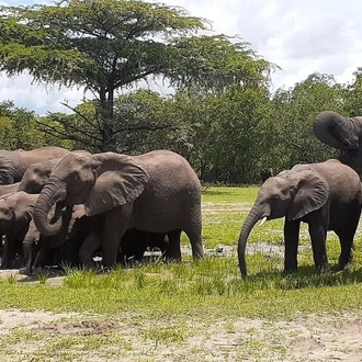 tourhub | Afroglacier Tours | Selous/Nyere National park safari and Zanzibar 