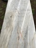 Grave of Salomao Delmar, Jewish Cemetery, Ponta Delgada, San Miguel, Azores, 2017. Photo courtesy E.J. Medros.