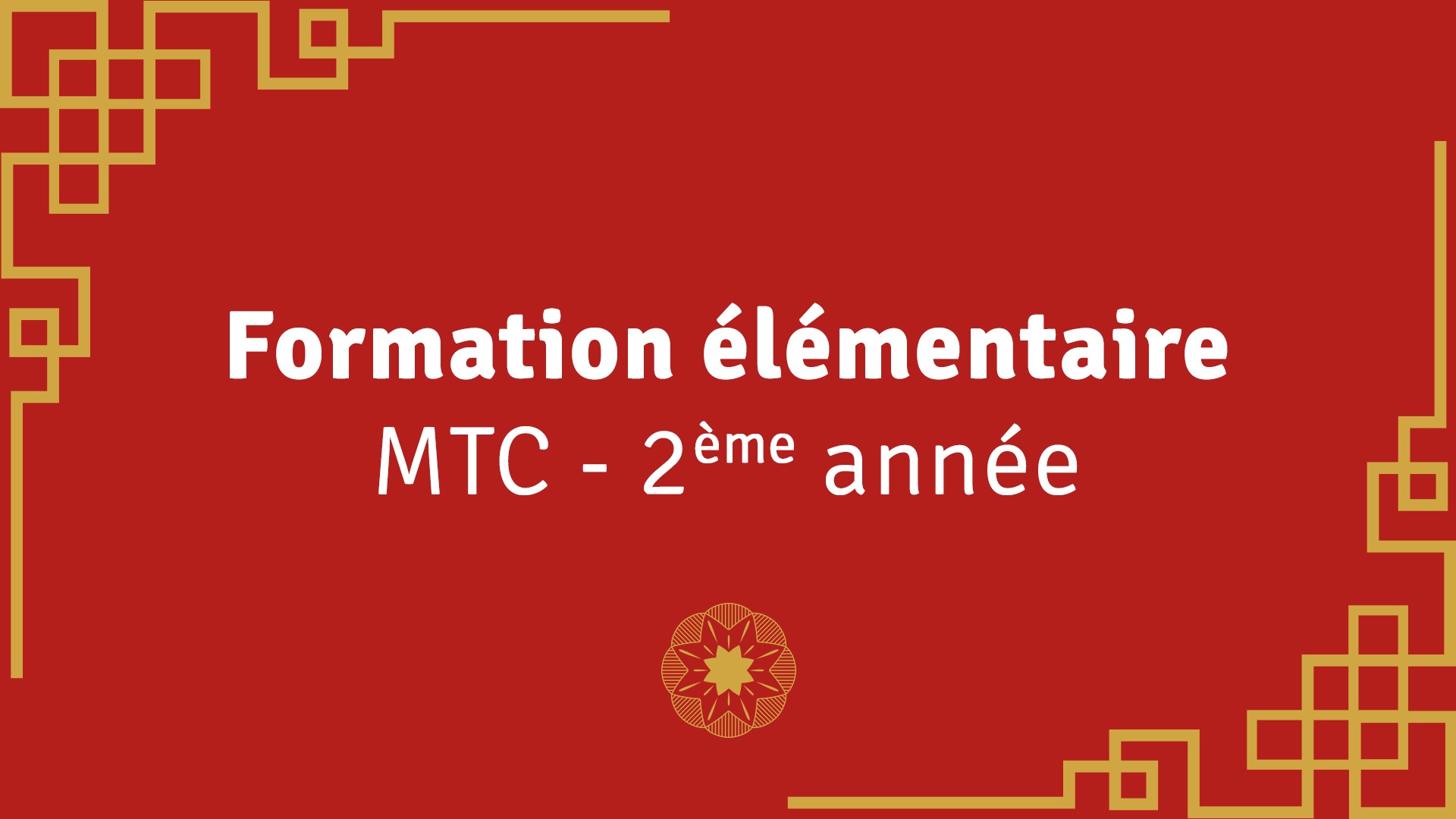 Représentation de la formation : Formation élémentaire en Médecine Traditionnelle Chinoise 2e année - 2024/2025