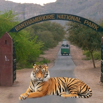 tourhub | Kamal Aviation Tours | Explore Tiger Safari Tour With Golden Triangle 