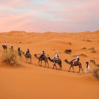 tourhub | G Adventures | Moroccan Desert Adventure: River Canyons & Camels 