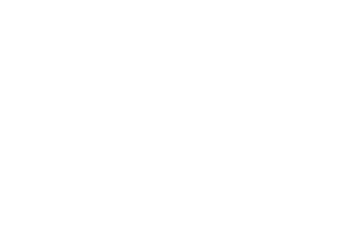 The Selah Experience logo