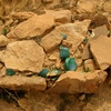 Ghardaya Cemetery, Shards and Pottery (Ghardaya, Algeria, 2009)