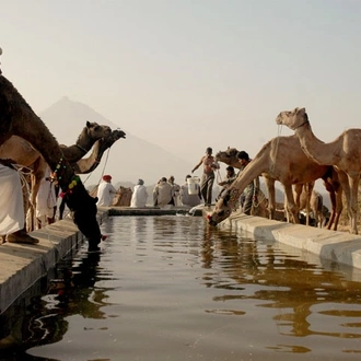 tourhub | Panda Experiences | North India with Varanasi Tour 