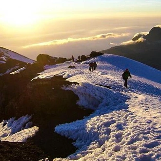 tourhub | Bamba Travel | Mount Kilimanjaro Trek (Marangu Route) 8D/7N 