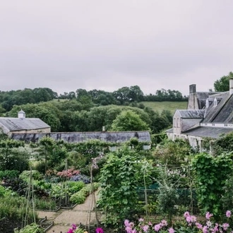 tourhub | Travel Editions | Gardens Of Somerset And Dorset Gardeners World Exclusive 