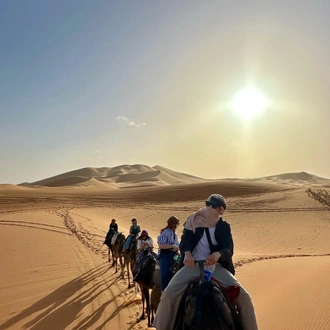 tourhub | Morocco Global Adventures | From Casablanca: 8 day tour to Merzouga desert & Imperial cities with camel trek 