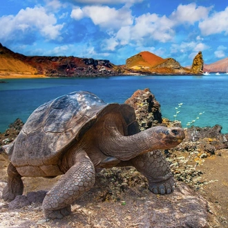 tourhub | Avalon Waterways | Ecuador & Its Galápagos Islands (Treasure of Galapagos) 