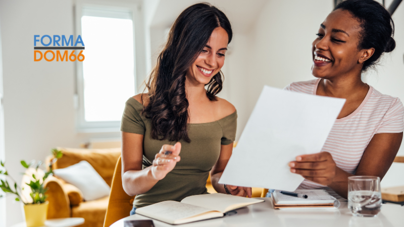 Représentation de la formation : VAE . Professionnel Assistante de vie aux familles