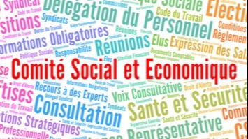 Représentation de la formation : 6-1-3-FORMATION DES MEMBRES DU CSE (+ DE 300 SALARIES)