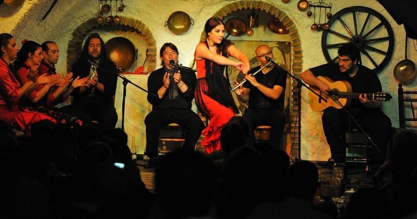 Ingresso allo Spettacolo di Flamenco - Alloggi in Granada