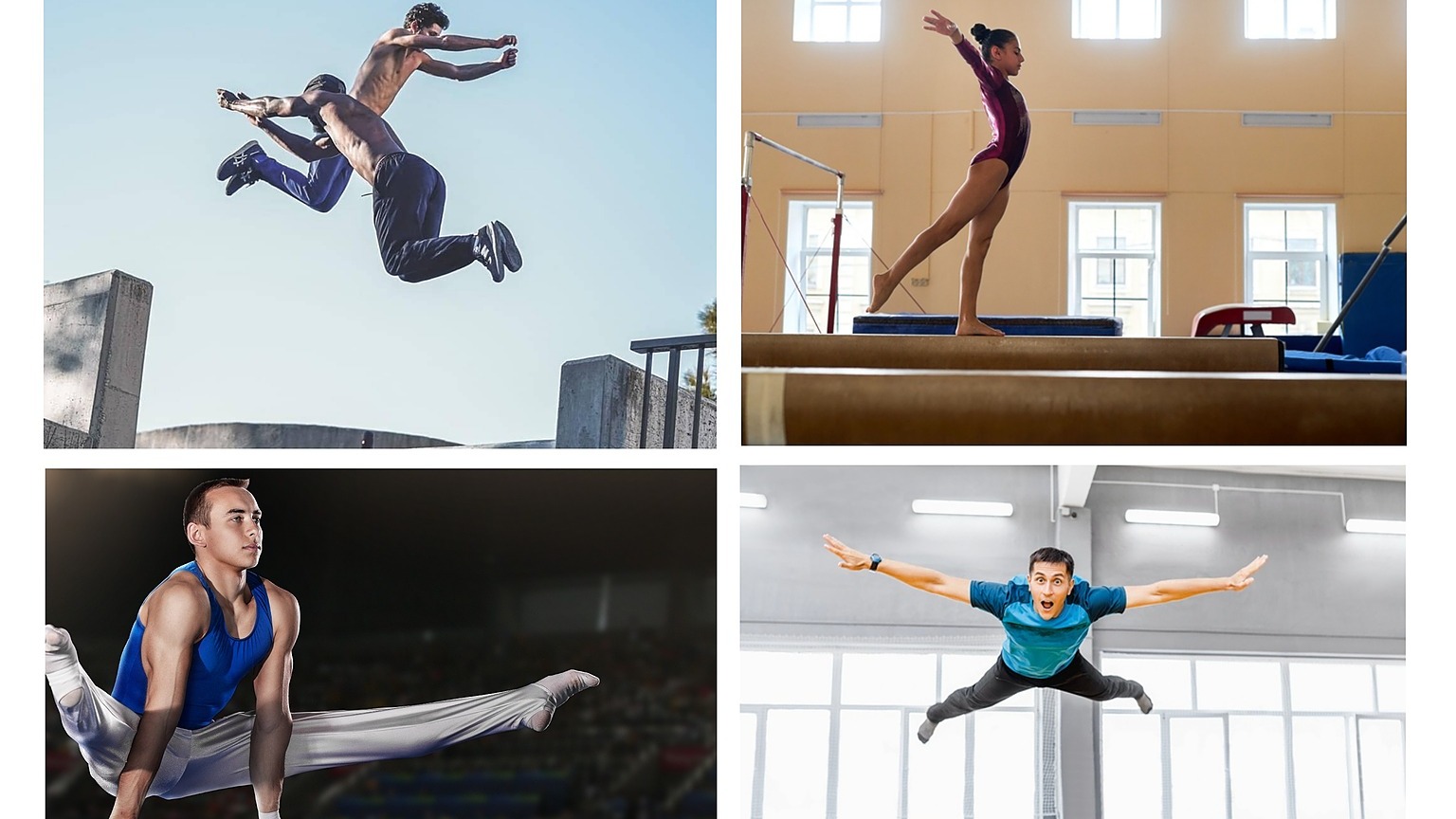 Représentation de la formation : BPJEPS Activités Gymniques Acrobatiques